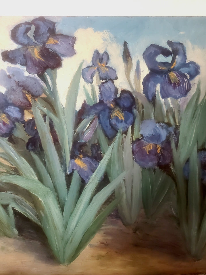 Huile sur carton -Jardin d'Iris-