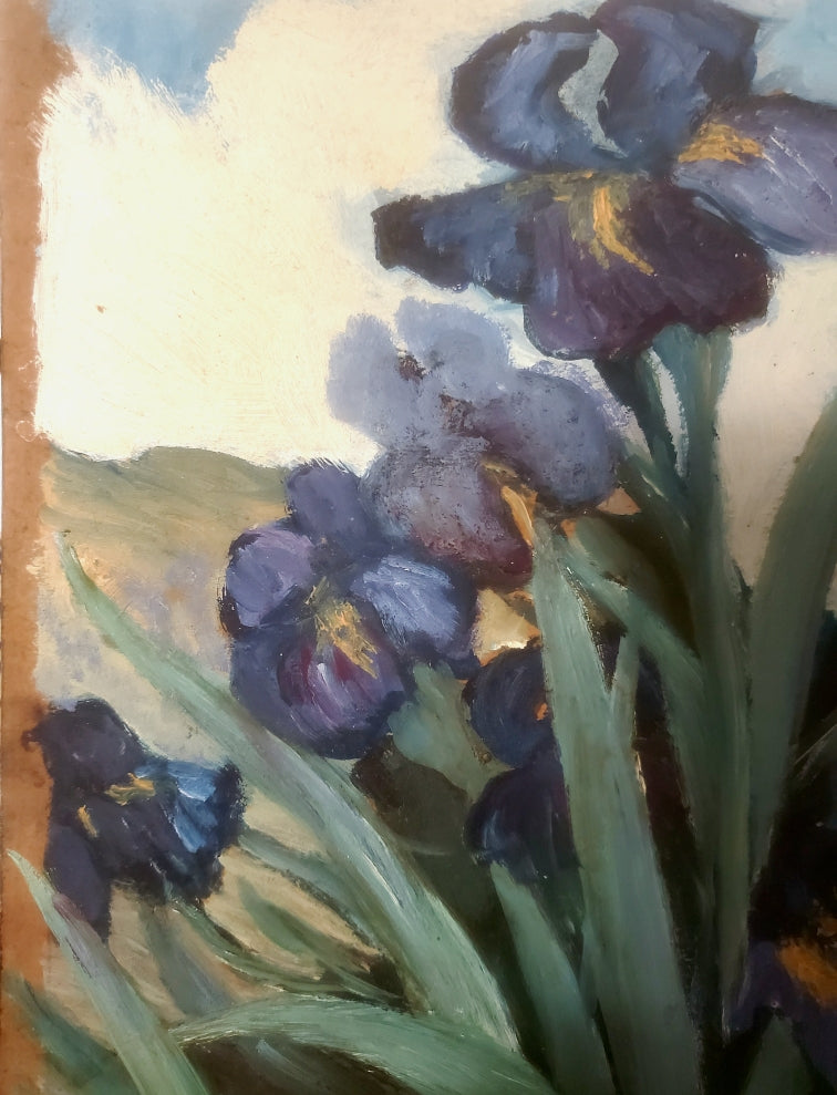 Huile sur carton -Jardin d'Iris-