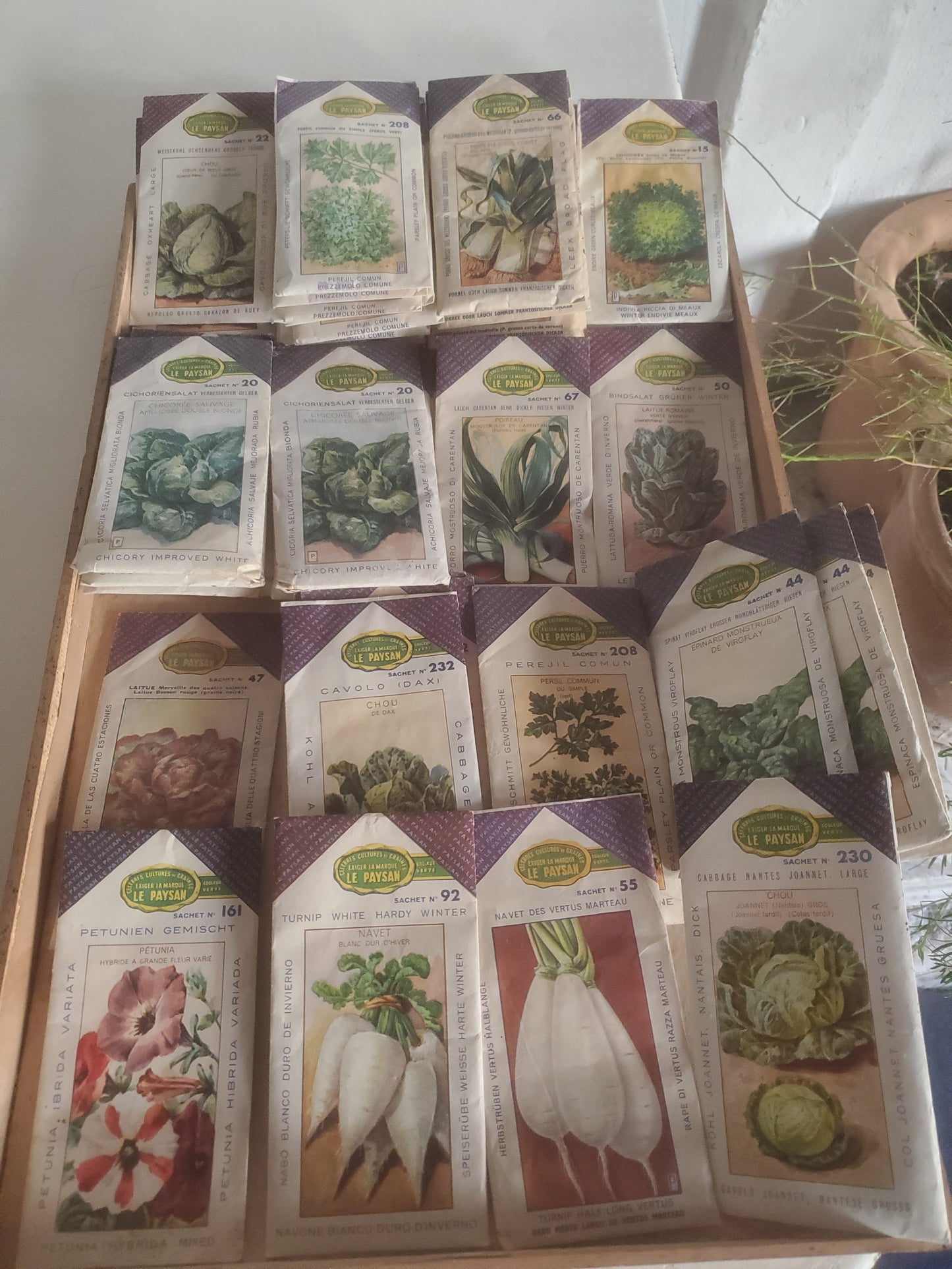 45 Sachets anciens de graines de légumes marque "Le Paysan"