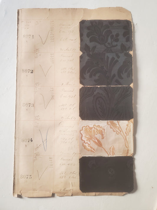 Document DAMAS 1889