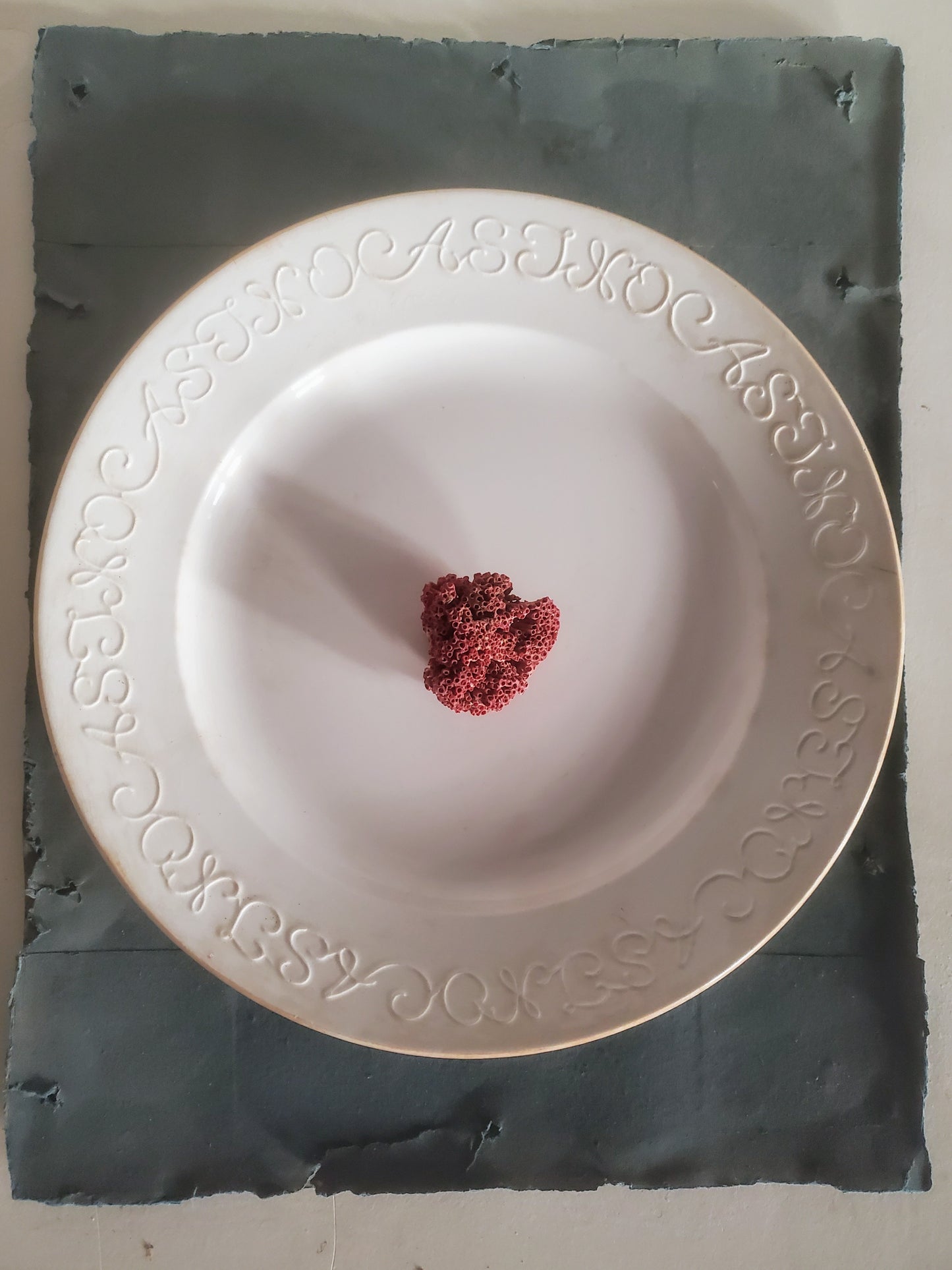 Plat ancien de diamètre 27 cm avec lettrage